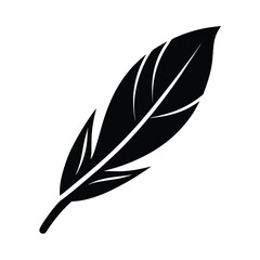 Obraz premium vector illustration of feather