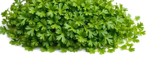 Obraz premium A vibrant heap of fresh cress leaves, isolated on pure white, clean eating, green, vibrant
