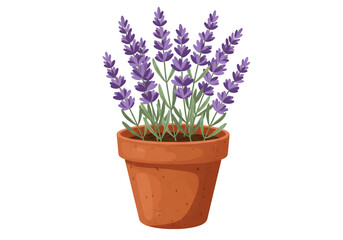 Fototapeta premium Potted Lavender Plant Illustration