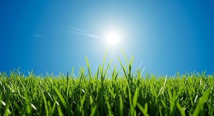 Fototapeta premium Vibrant green grass stretches towards a bright sun shining in a clear blue sky.. AI Generated