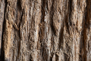 Top view of the wood surface