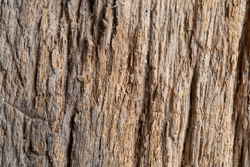 Top view of the wood surface