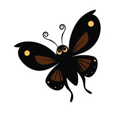 butterfly on white background