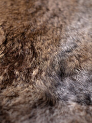 Red Brown Animal Wildlife fur hair textured Concept Background.