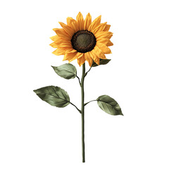 Fototapeta premium A single sunflower with detailed leaves against a transparent background, concept for botanical illustrations, greeting cards, and nature-themed designs