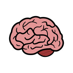 Vector illustration of a brain.