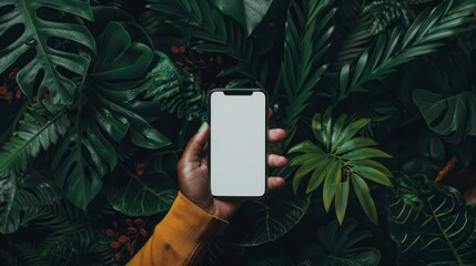 Hand holds a phone with a blank screen among lush greenery