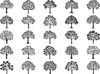Maple Tree Svg Bundle