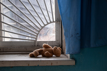 A baby brown bear lies on a barred window in an old abandoned house in Ukraine