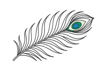 Elegant Peacock Feather vector art, Detailed Line Art, Bird, Nature