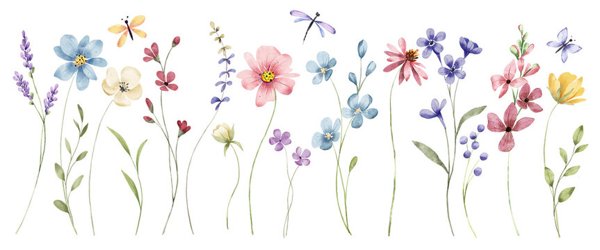 Watercolor wild flowers border banner for stationary, greetings, etc., floral decoration. Hand drawing.