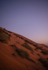 Oman, Middle East, 03-25-2025: a red sands dune at sunset in Wahiba Sands (Sharqiya Sands), the...