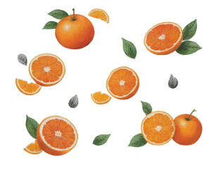 Tropical Orange Bliss Isolated Pattern &ndash; Bright and Zesty Citrus-Inspired Design for Packaging and Branding