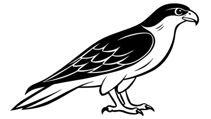 Obraz premium eagle vector illustration isolated on white or transparent background