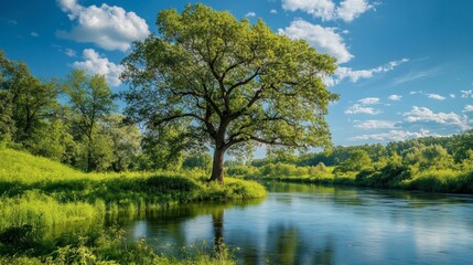 Fototapeta premium Serene River Landscape with Majestic Tree Under Blue Sky