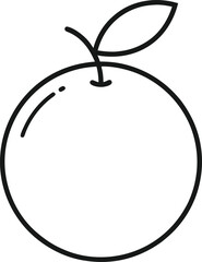 clementine fruit outline icon on white background.