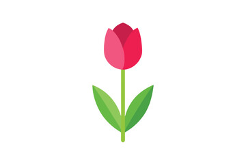 three red tulips