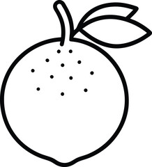 illustration of desert lime fruit.