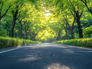 Obraz premium A Tranquil Road Through a Green Canopy: Sunlit Path in a Serene Landscape, inviting travel and reflection under nature's embrace and the warm glow of sunlight.