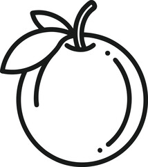 illustration of duku fruit.