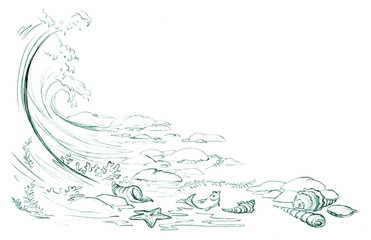 Fototapeta premium Pencil drawing. The waves threw shells and stars ashore