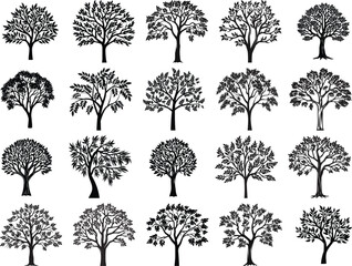 Ash Tree Svg Bundle