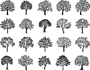 Ash Tree Svg Bundle