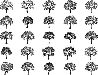 Ash Tree Svg Bundle