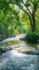 Obraz premium Idyllic Riverside View with Gently Flowing Water in a Lush Setting