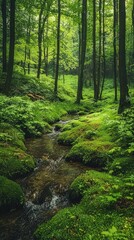 Obraz premium Lush Green Forest with Natural Brook and Peaceful Atmosphere