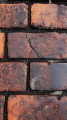 Brick pavement texture, crack, outdoors