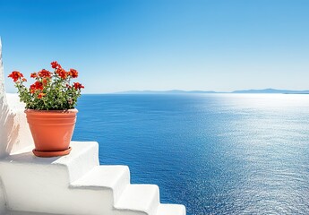 A pot of blooming pink bougainvillea in an orange terracotta pot, placed on white steps, with a sea and blue sky background