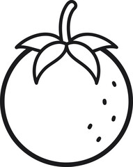 vector illustration of a  fibrous satinash.