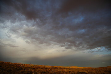 Arid dune in the Kalahari Desert with some dry grass