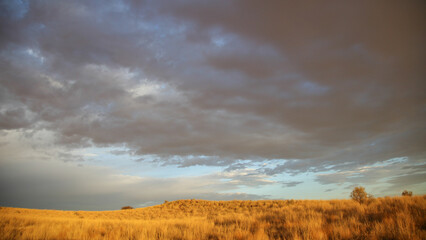 Arid dune in the Kalahari Desert with some dry grass