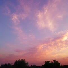 Obraz premium Pastel Sunset Sky Over Silhouetted Trees