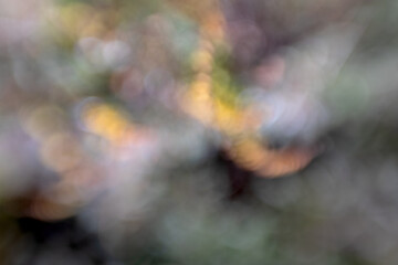 Texture, background with colorful, blurred light reflections