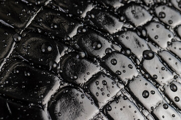 black polished leather dyed black with embossed crocodile leather covered with water droplets