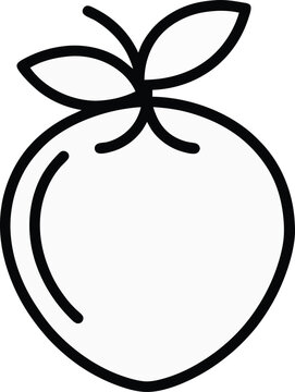 vector illustration of a icaco fruit icon.