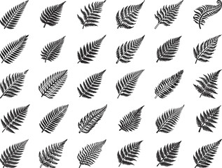 Obraz premium Fern Leaves Clipart SVG Bundle
