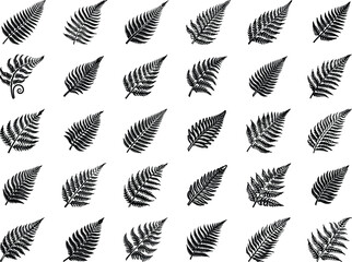 Obraz premium Fern Leaves Clipart SVG Bundle