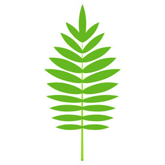 palm tree leaf vector illustration. simple flat style isolated on white