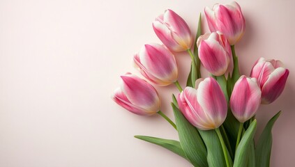 Fototapeta premium Pink tulips bouquet on pastel background