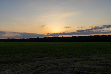 a beautiful sunset on a field in the summer