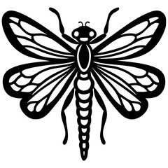 A symmetrical graphic illustration of a dragonfly with its wings spread out. It’s a monochrome image, focusing on the details of the insect's form