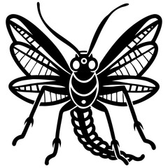 Intricate Insect Illustration: A detailed monochrome illustration showcases a stylized insect with intricate wing patterns and detailed body structures, set against a plain background.
