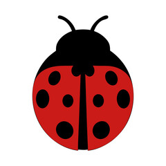 Ladybug Delight: A charming ladybug with a vibrant red body and black spots, perfectly poised against a clean backdrop.