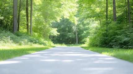 Obraz premium Forest path in summer sunlight. A paved trail meanders through a lush green forest. Sunlight filters through the trees, creating a serene atmosphere
