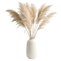 Fototapeta premium Pampas grass in white vase isolated on transparent background