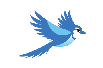 Fototapeta premium blue bird on a branch